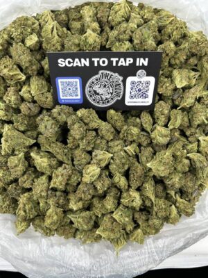 STAR DAWG