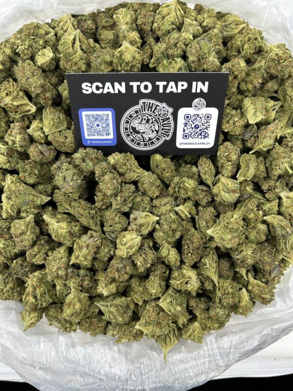 STAR DAWG