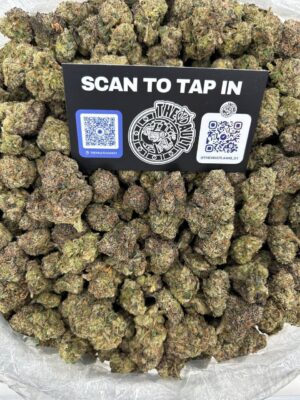 SECRET SOCIETY RUNTZ