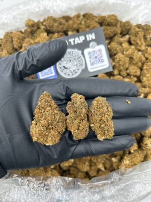 LCG (LEMON CHERRY GELATO)