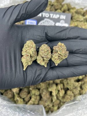 LEMON CHERRY SPECIAL