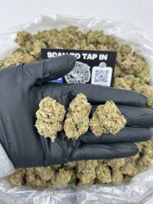 PINK CERTIFIED RUNTZ