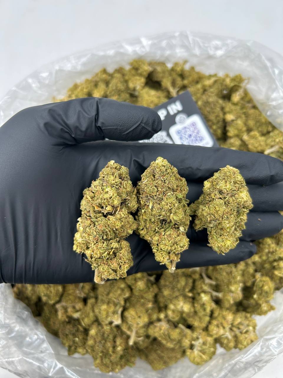 DUBAI RUNTZ - Image 2