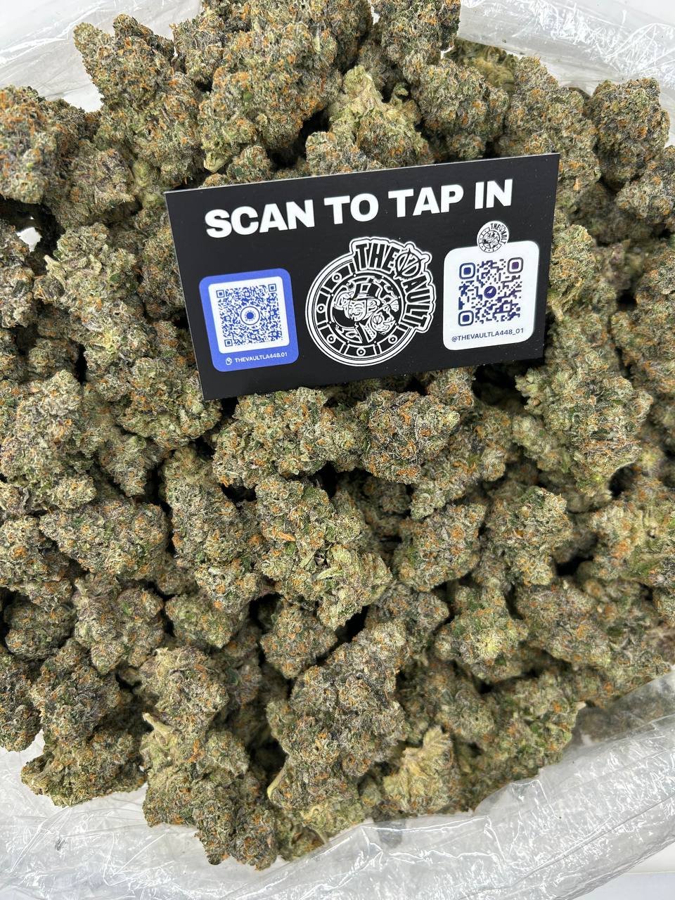 RAINBOW BELTZ X BISCOTTI - Image 2