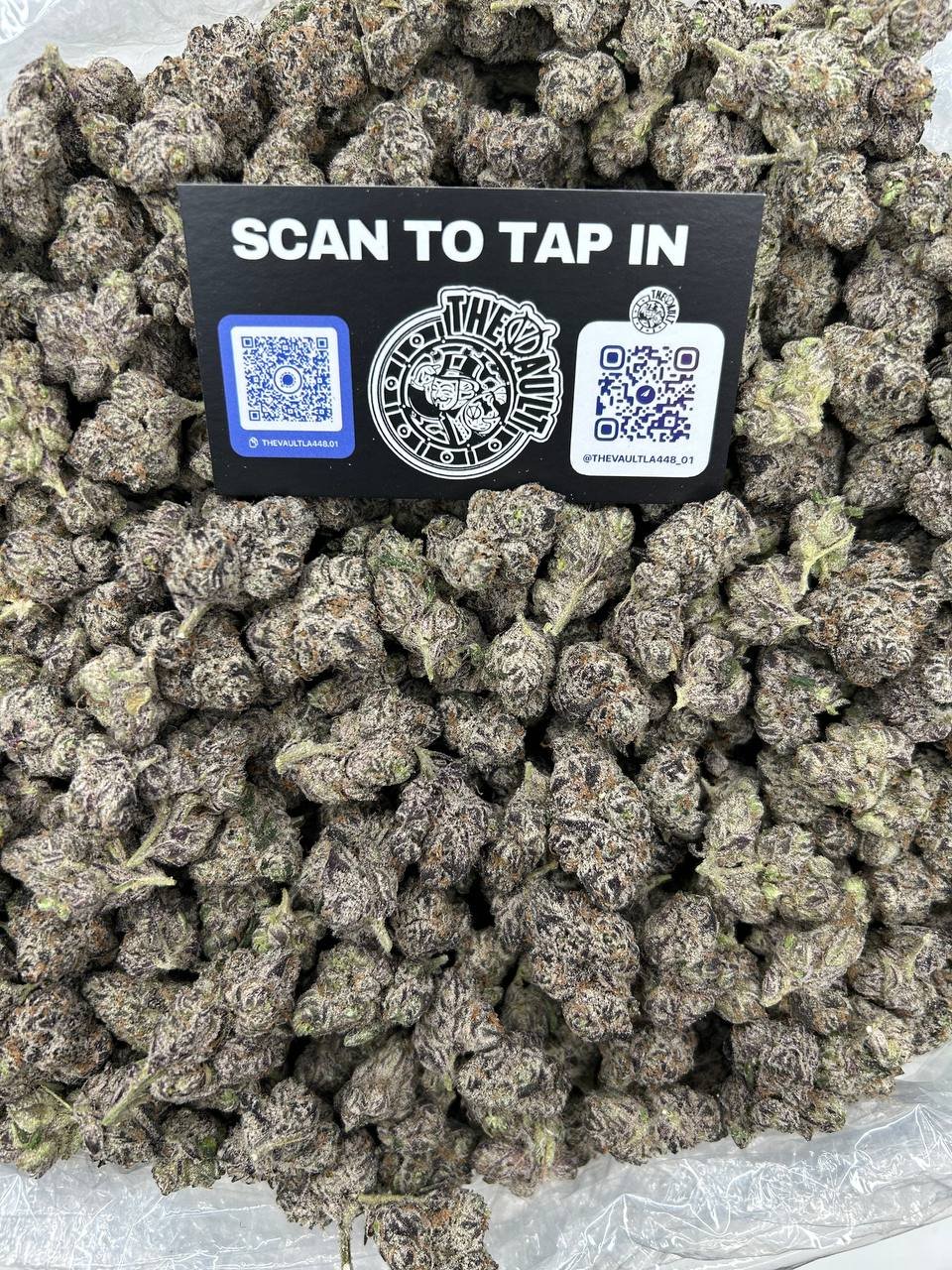 RAINBOW CANDY BURST - Image 2