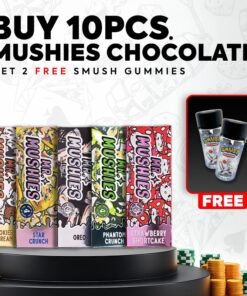 MR.MUSHIES CHOCOLATE MUSHROOMS