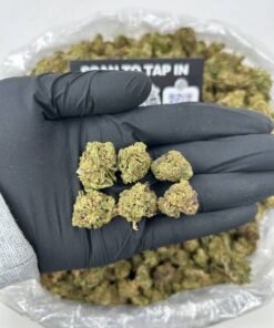 LEMON CHERRY BERRIES SMALLS