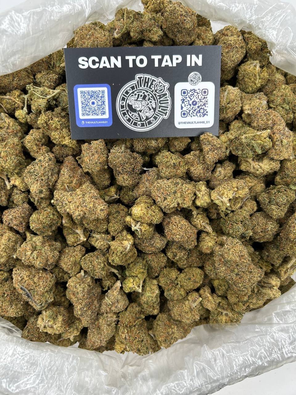 GUMBO SPECIAL - Image 2