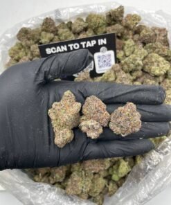 BLUE LEMON CHERRY BELTZ