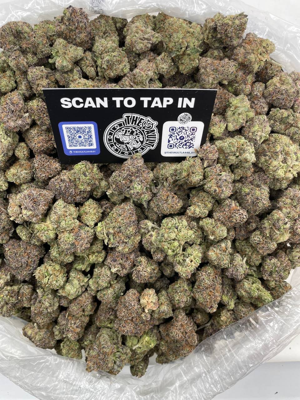 BLUE LEMON CHERRY BELTZ - Image 2