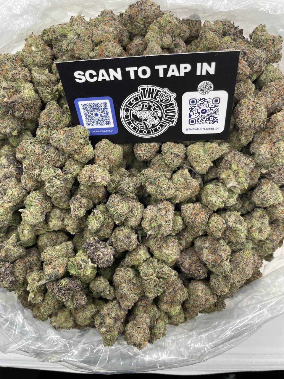 DIOR RUNTZ - Image 2