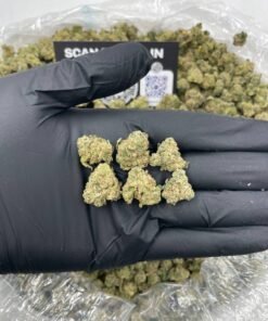 LA PRESIDENTIAL SMALLS