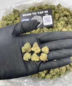 TROPICAL ZANANA SMALLS