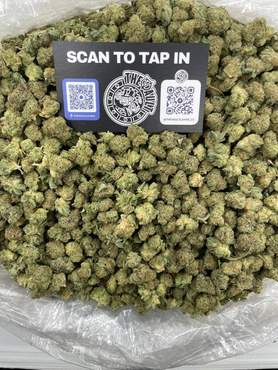 TROPICAL ZANANA SMALLS - Image 2