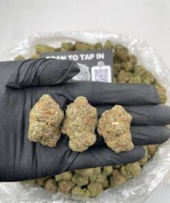 WHITE CHERRY POPPERZ