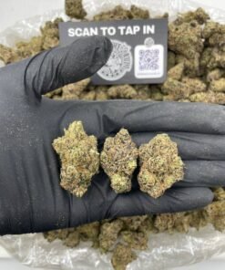 ZUPER CRACKED RUNTZZ