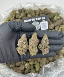PINK BUBBLEGUM GELATO