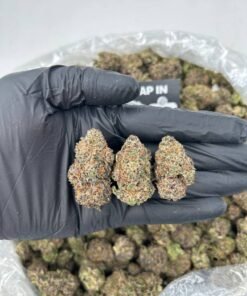 BUBBLEGUM CHEM