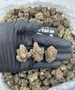 BLACK CHERRY SODA