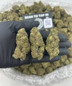 GELATO KISS