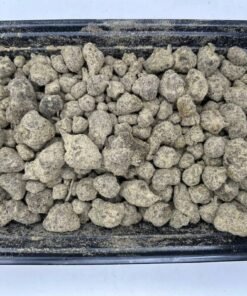 THE VAULT LA – MOON ROCKS
