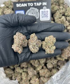 NERDZ CLUSTER BOMBS