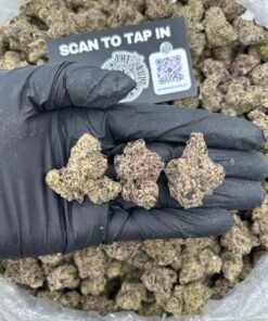 BLACK BERRY GUSHERZ