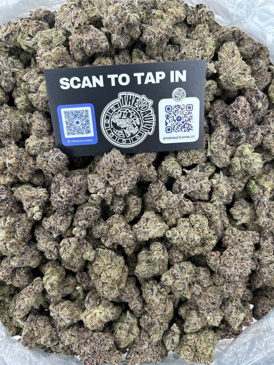 BLACK BERRY GUSHERZ - Image 2