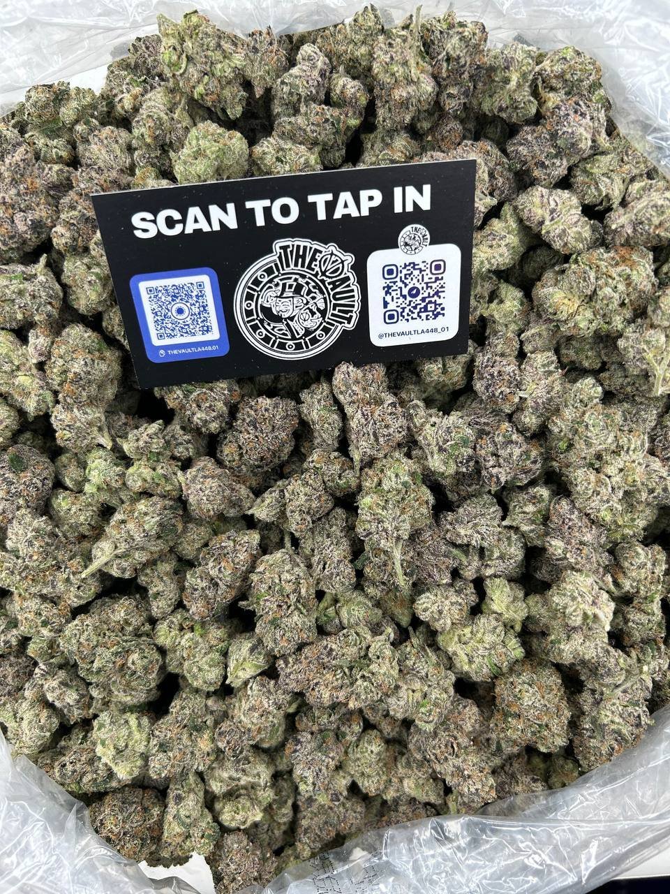 GELATO #33 - Image 2