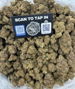 GELATO CREAM