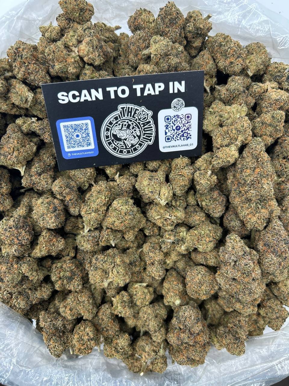 GELATO CREAM