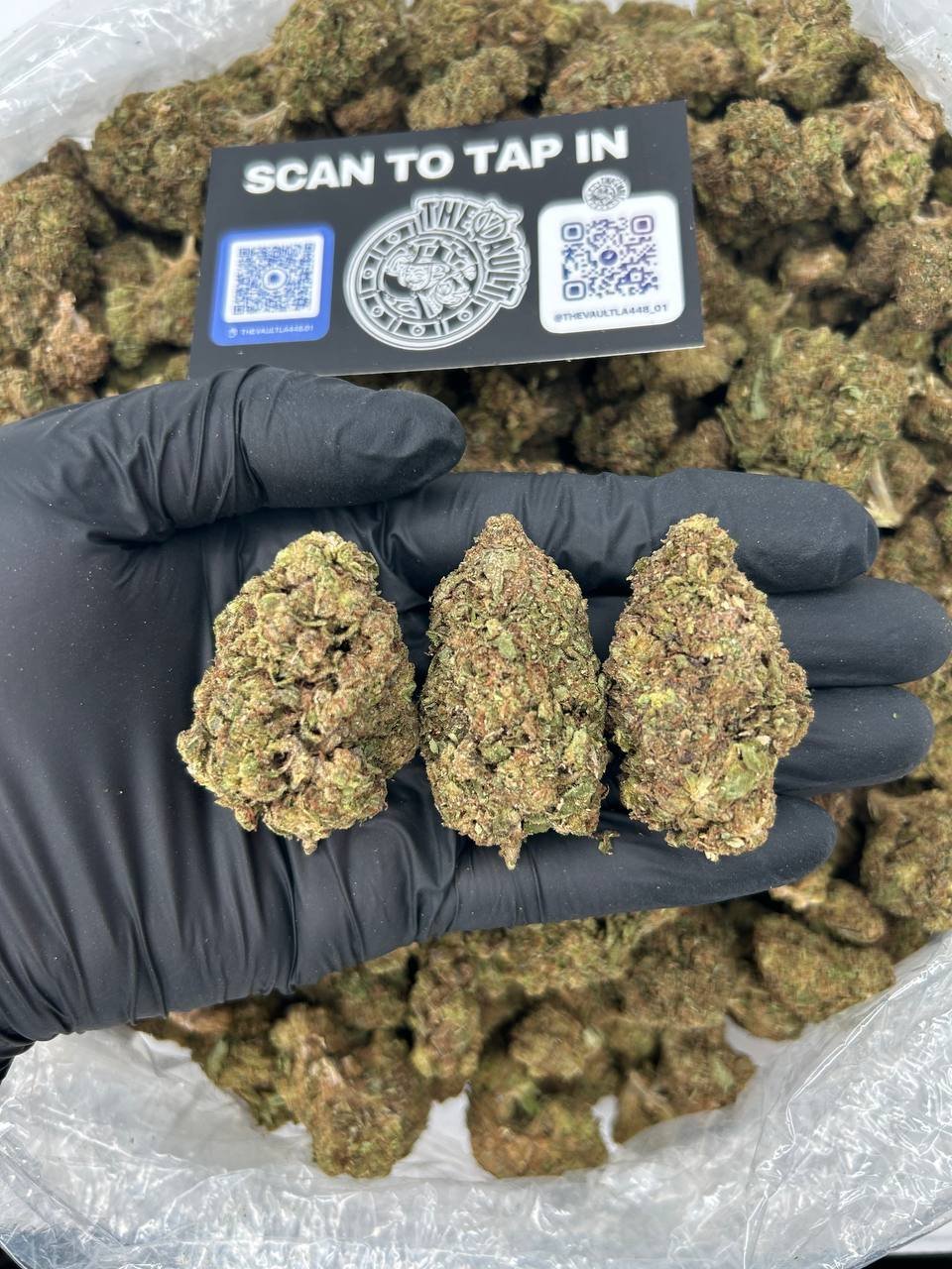 GELATO TOPPINZ - Image 2