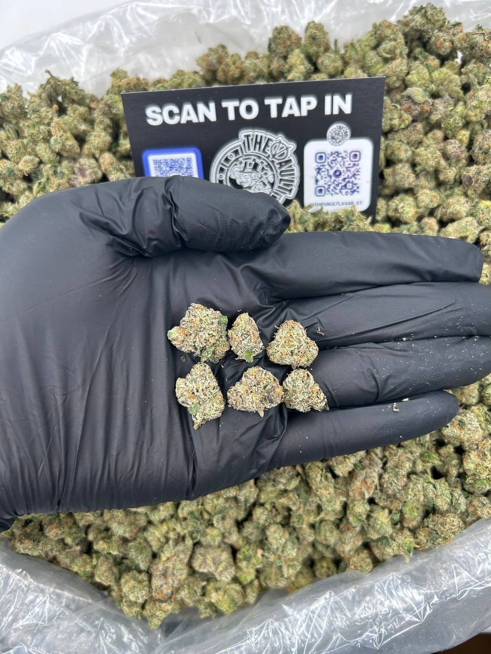 LEMON CHERRY BLAST SMALLS