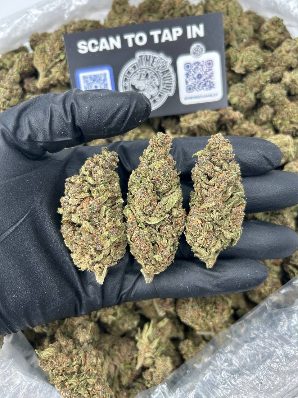 NUTTER BUTTER