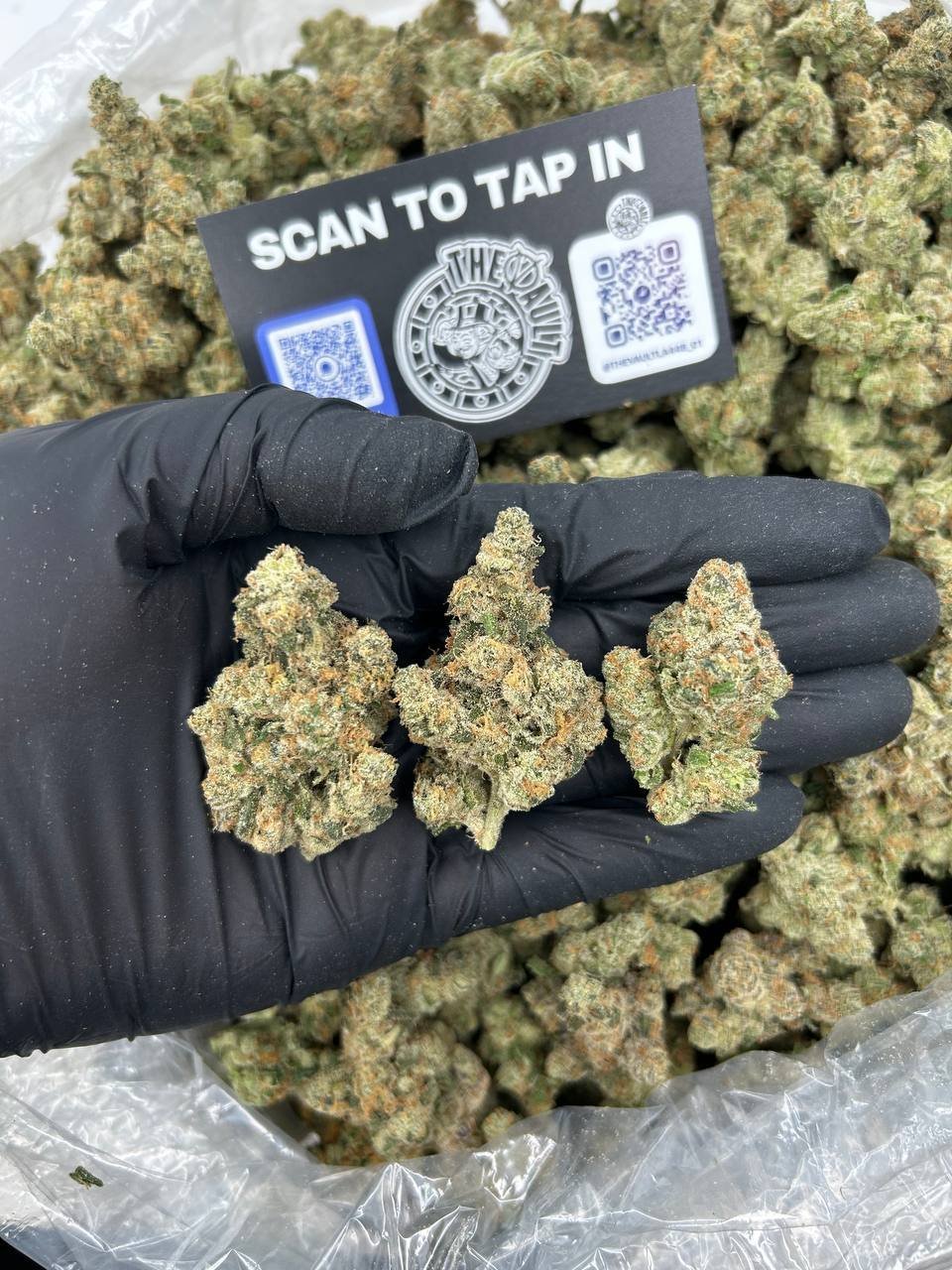 SKYWALKER OG