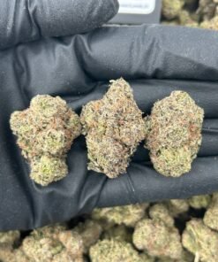 CANDY GAS - Image 2