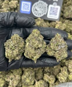 CODEINE DREAM - Image 2