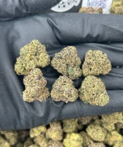KNOCKOUT MEDIUMS